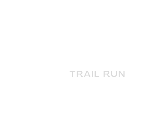 Freedom Trail Run
