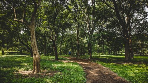 Uncover Boston’s Most Thrilling Trails!